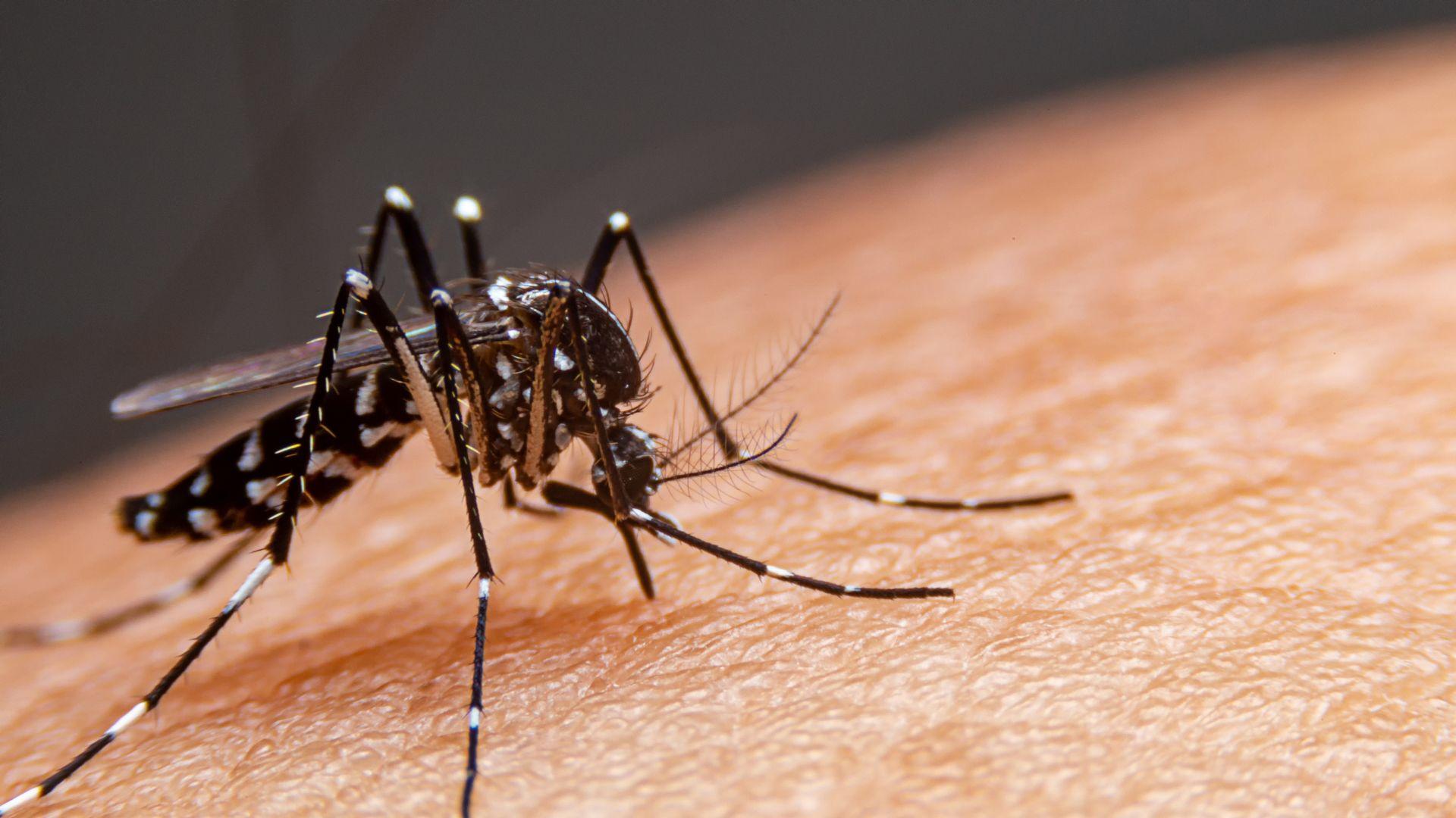 Camapuã Vamos Combater a Dengue, Não deixe Água Parada!